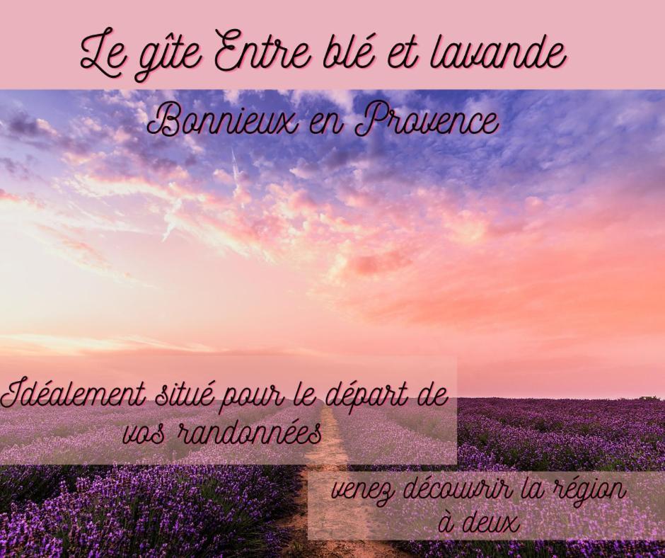 Entre Ble Et Lavande Apartamento Bonnieux Exterior foto